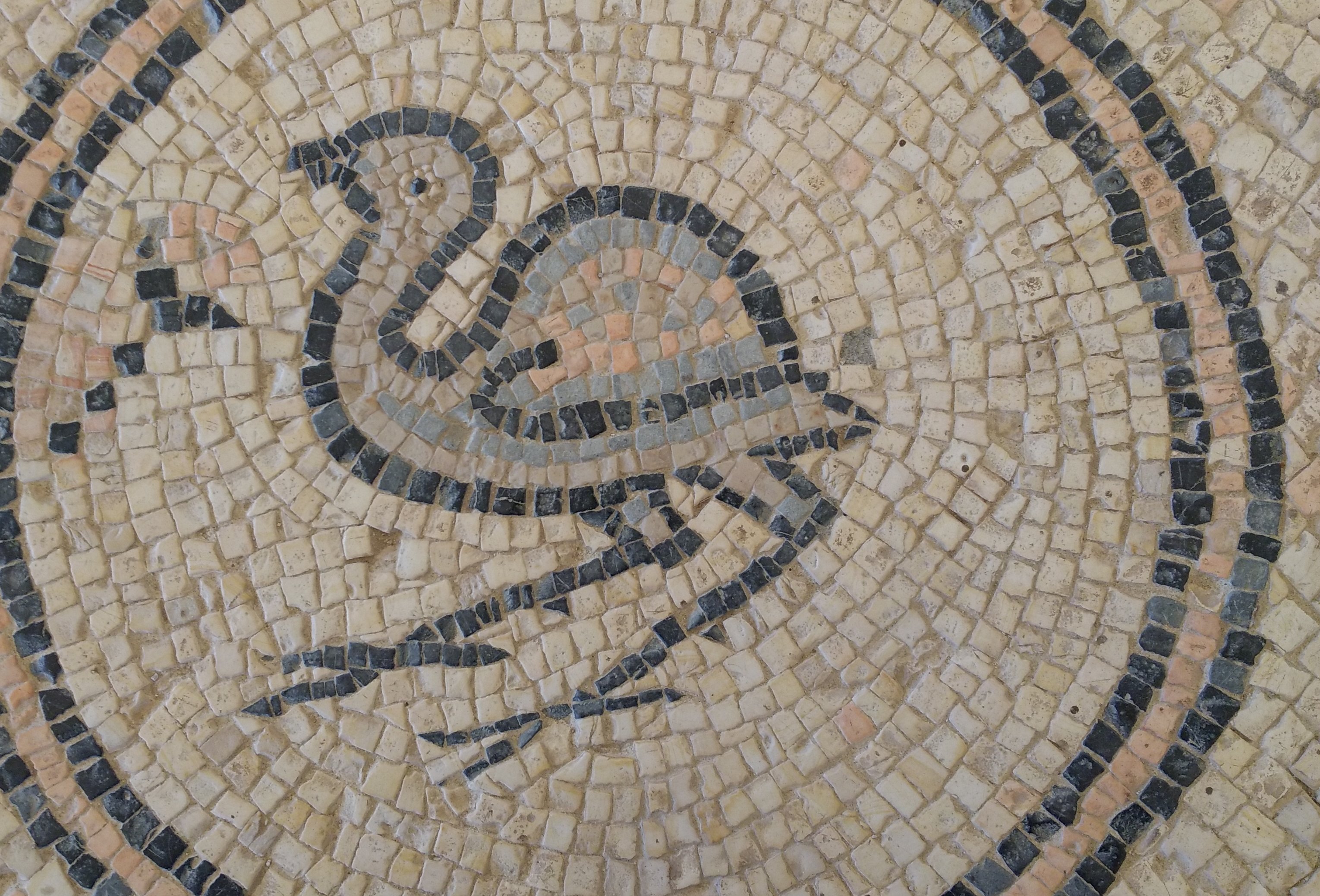 Mosaik mit cremefarbenem Grund und einem schwarzen Doppelkreis, in dessen Mitte ein Vogel mit dunklen Steinen abgebildet ist.